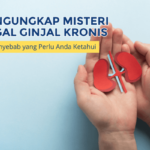 Mengungkap Misteri Gagal Ginjal Kronis: Penyebab yang Perlu Anda Ketahui